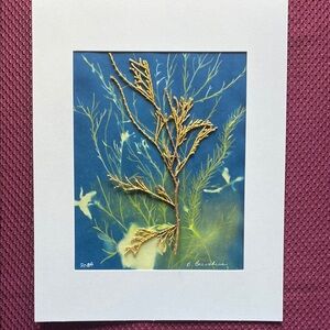 Expressions of nature original